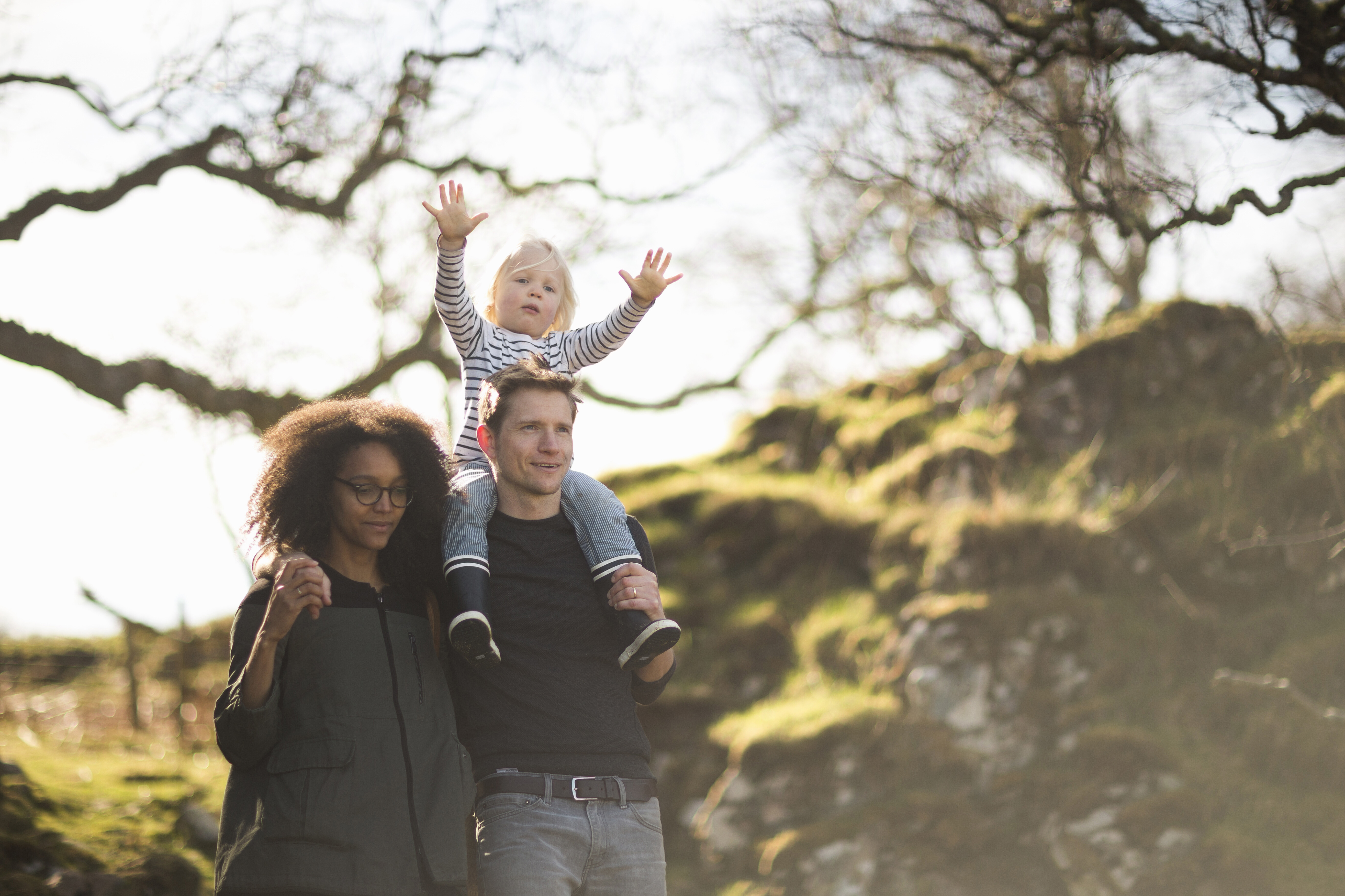 Family Law
